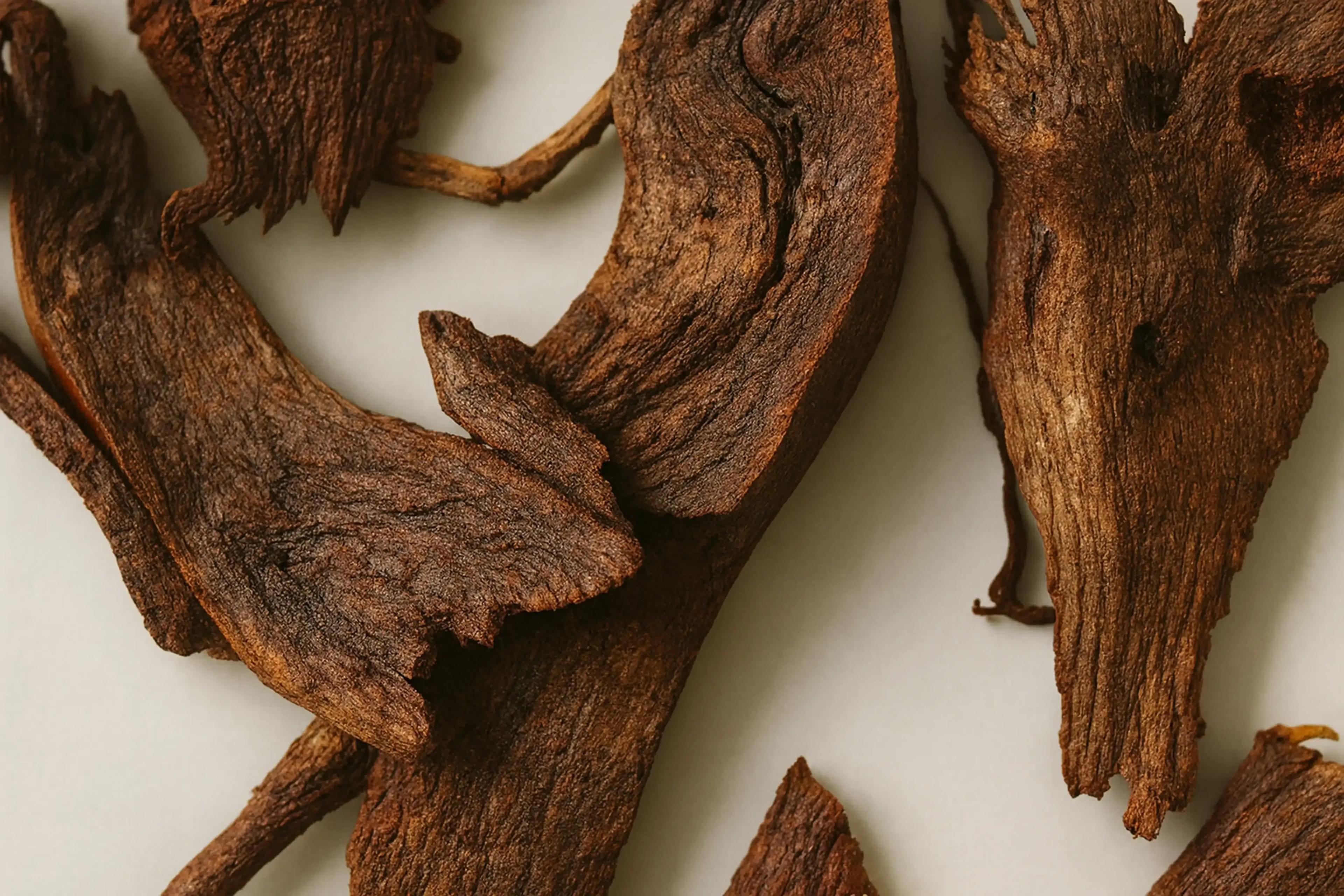 Indian Madder Root