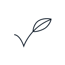 Vegan