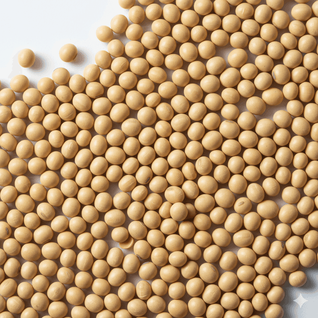 Lecithin