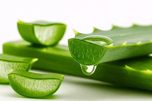 Aloe Barbadensis Leaf Extract